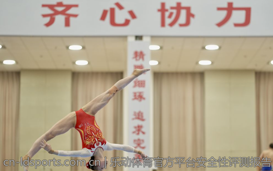 乐动体育官方平台安全性评测报告