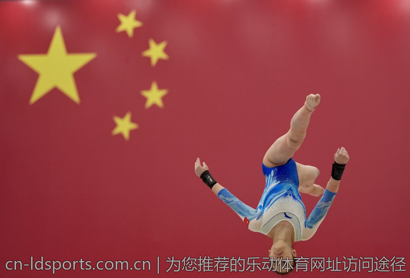 乐动体育登录平台的安全性分析