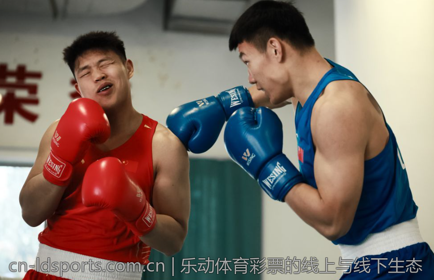 乐动体育彩票的线上与线下生态