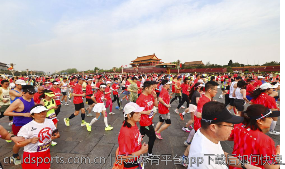 探索乐动体育网址带来的新体验与乐趣